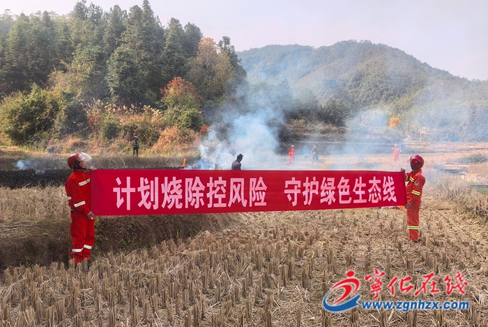 石壁镇:以“烧”促“防”筑屏障,织牢田野生态安全网