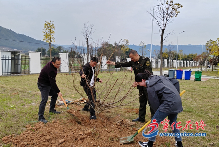 宁化：不负春光添新绿 植树造林正当时